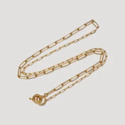 BON BON Paper Clip Chain in Gold
